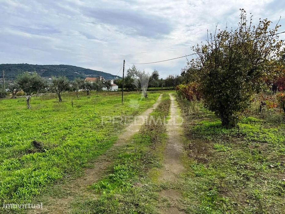 Quinta Rural T4