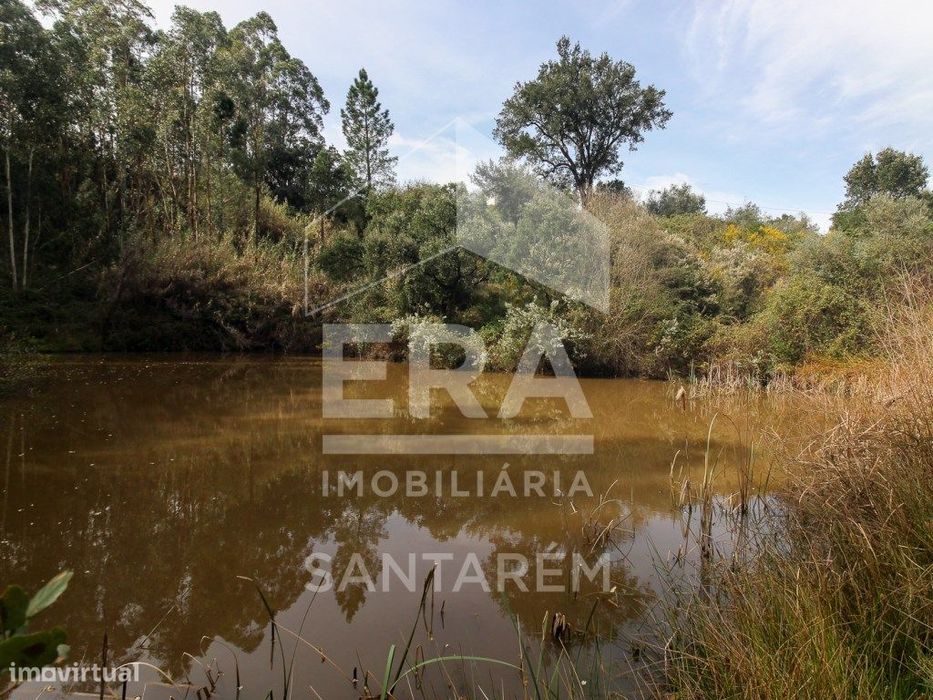 Terreno com cerca de 1 Hectare