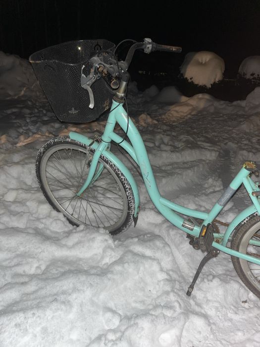 Rower damka miętowy