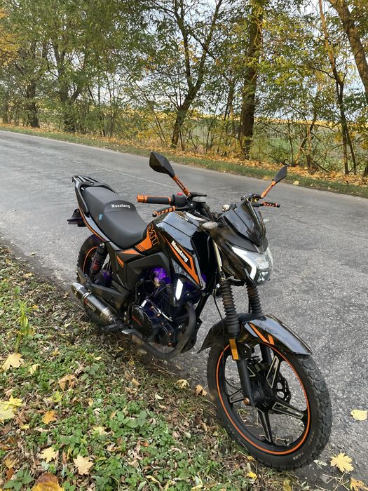 Мустанг МТ регіон 250