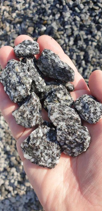 Grys granit dalmatyńczyk 8-16, 16-22. Kamienie ogrodowe dekor. ozdobne