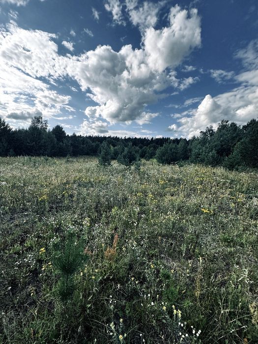 Продаж ексклюзивної ділянки в лісі  Руда-Красна
