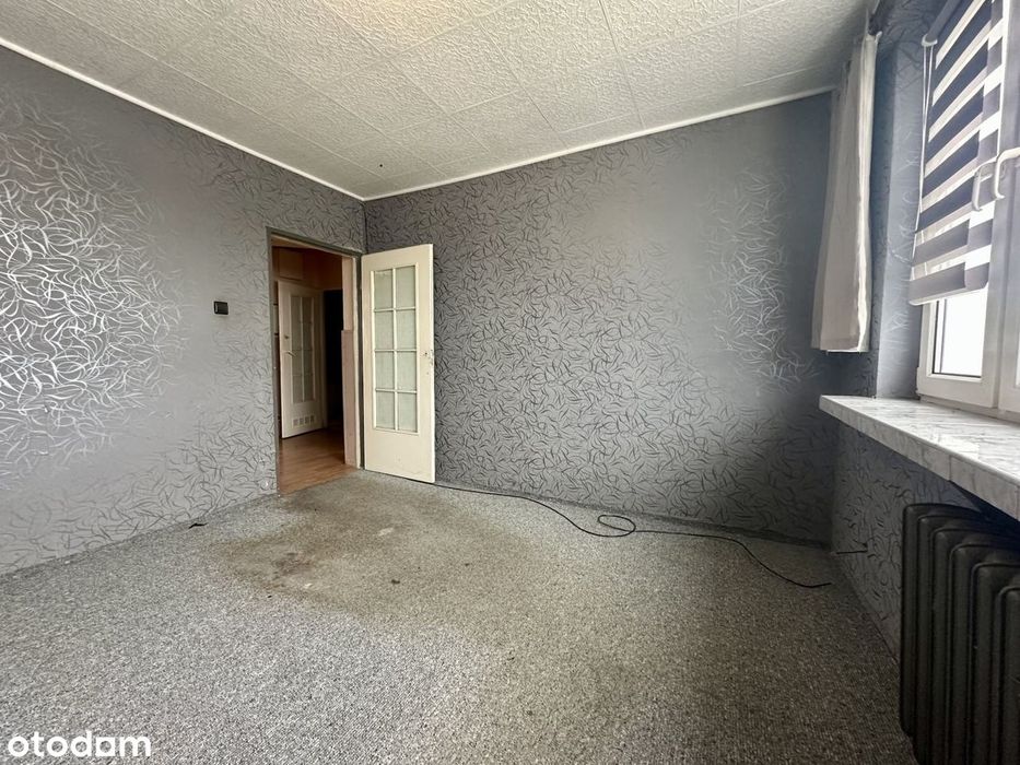 77,8 m² | 3 duże pokoje | 8 minut spacerem do Jeziora Reczynek