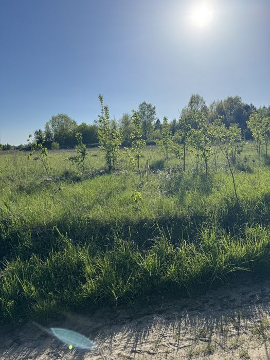 Новосілки Боярське ОТГ 1,6 Га забудова  фасад  , кутова ОБМІН