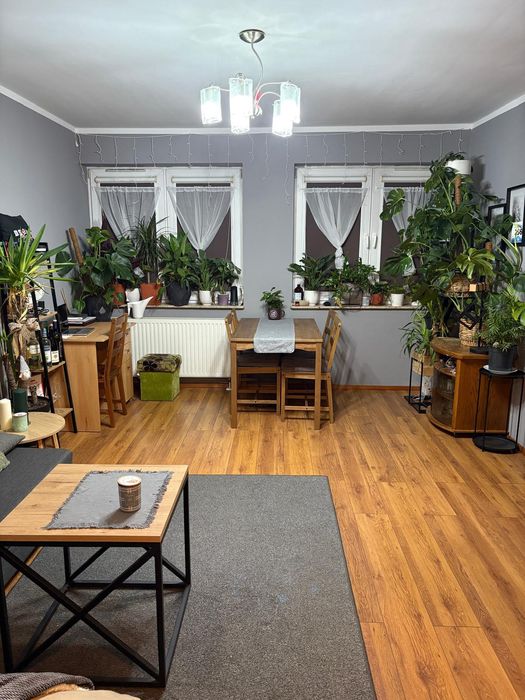 Kawalerka do wynajęcia