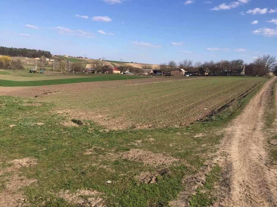 Продам земельну ділянку