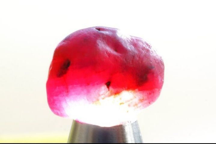 Lote de 5 Cristais de Rubi Bruto (55 ct / 11.15g) - Não Tratado,