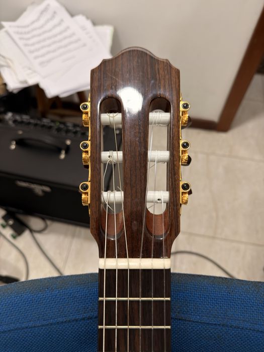 Guitarra Luthier Oitavada - Carl Hellweg OG60