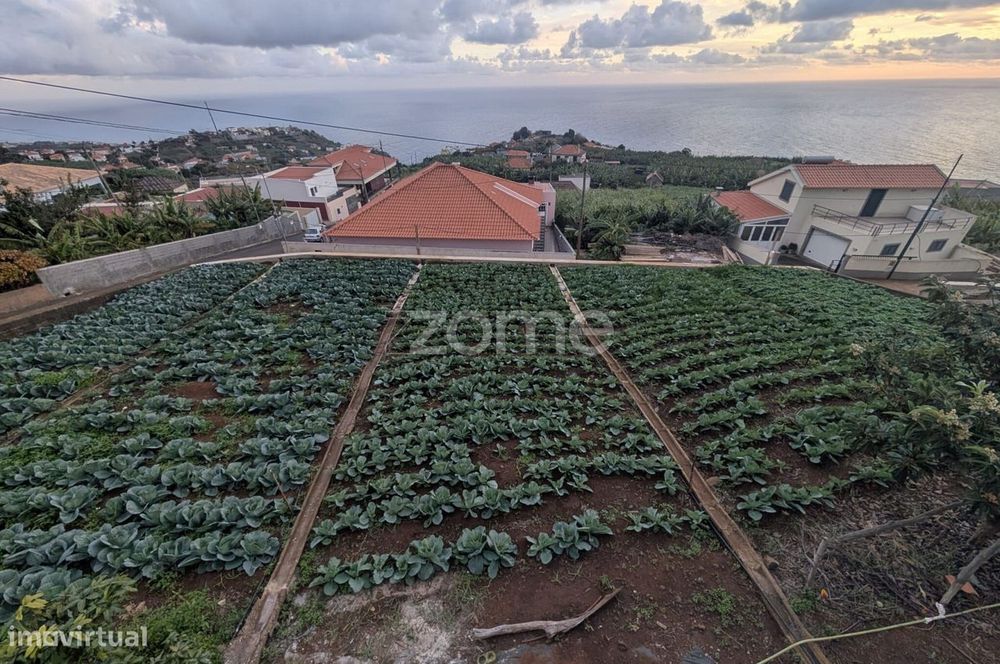 Terreno com Vista Mar e Grande Potencial de Construção | Canhas