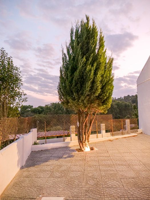 7HeavenGardenEventos