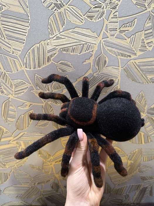 Паук на управлении , тарантул , павук на радіокеруванні, інтерактивний