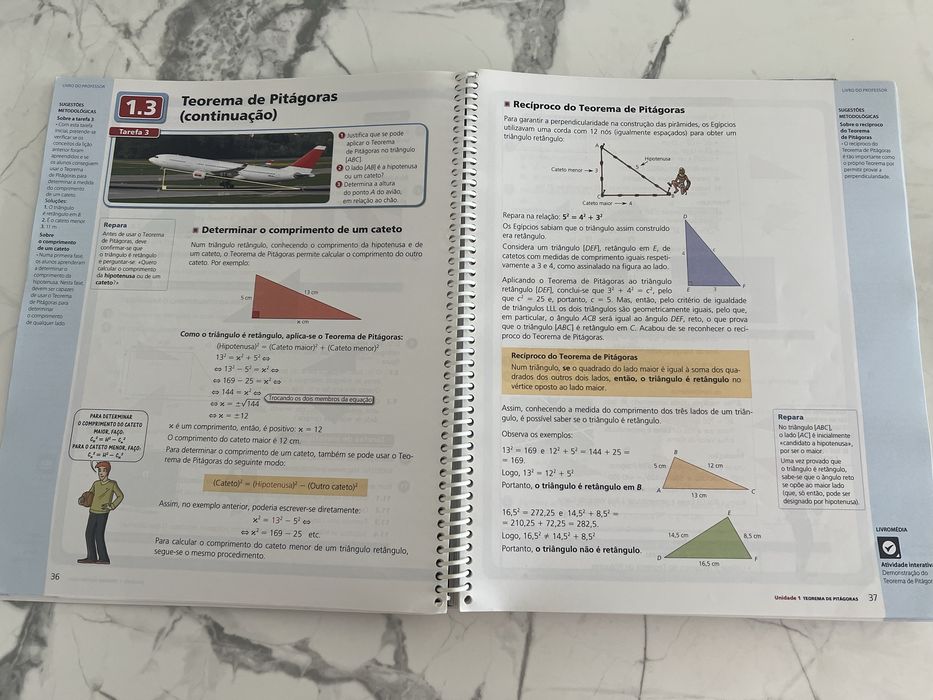 Matemática 8.º Ano - Projeto Desafios (Santillana) - Edição do Professor