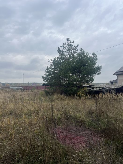 Синяк — 25 соток під забудову! Газ, світло, цоколь