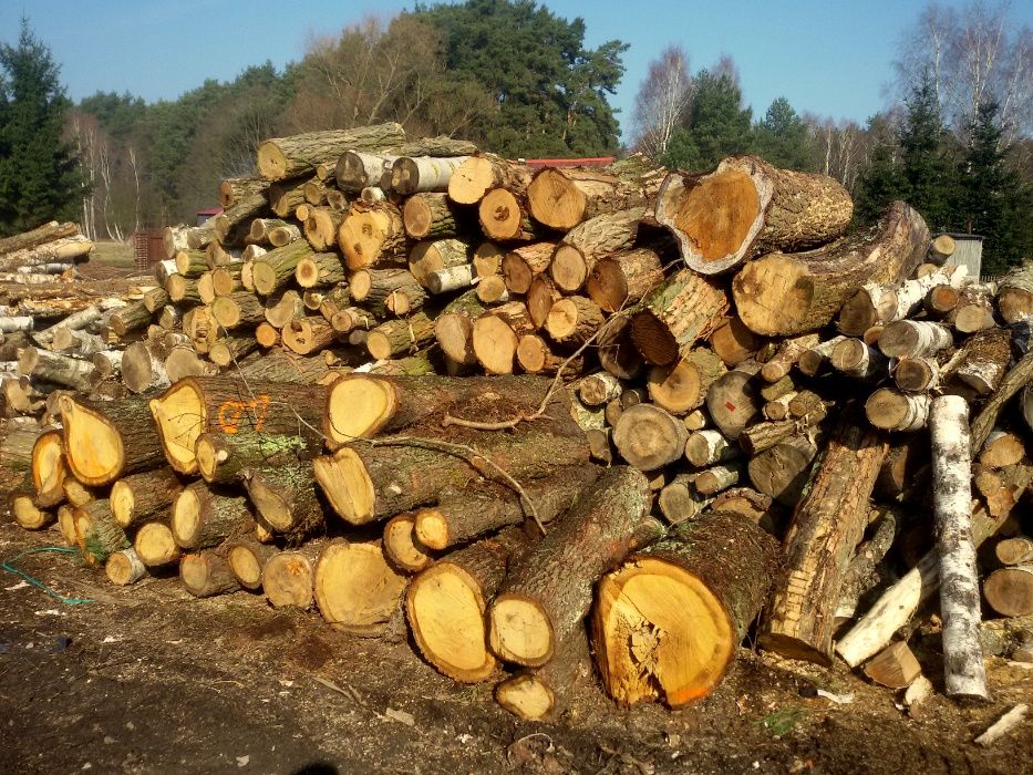 dąb drewno kominkowe  połupane opałowe liściaste