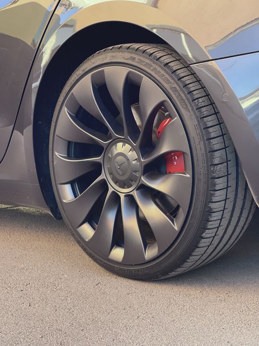 Tesla model 3 Perfomance 2021/08 rest