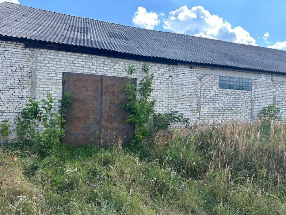 Продам приватизовану земельну ділянку 1,2 га