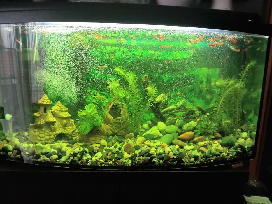 Akwarium profilowane  120 l plus drugie 60 litrów