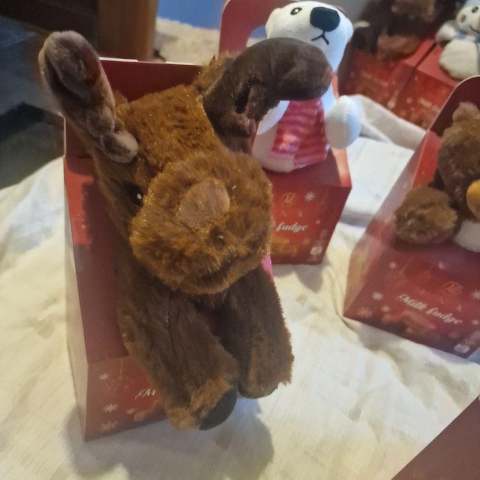 Magnetic milk fudge Christmas