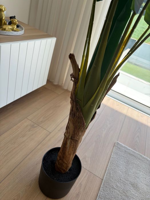 Planta Decorativa Tropical  – Estilo Banana/Estrelícia