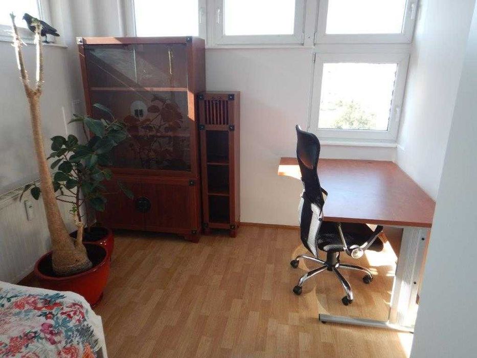 Do wynajęcia pokój dla młodej dziewczyny pracującej /studiującej