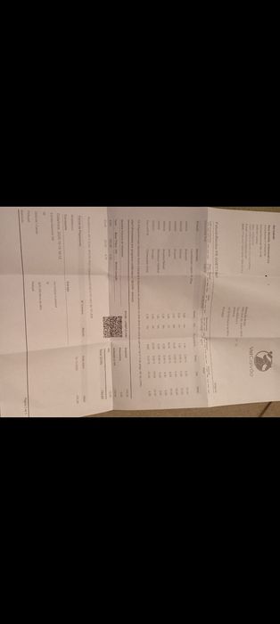 Maja - Cadelinha Malinois de 3 anos para adoção/venda De graça