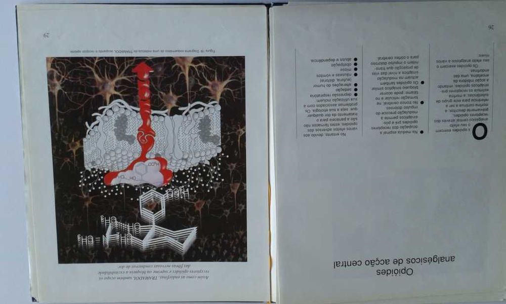 BD Capitão América / Guia Gripe