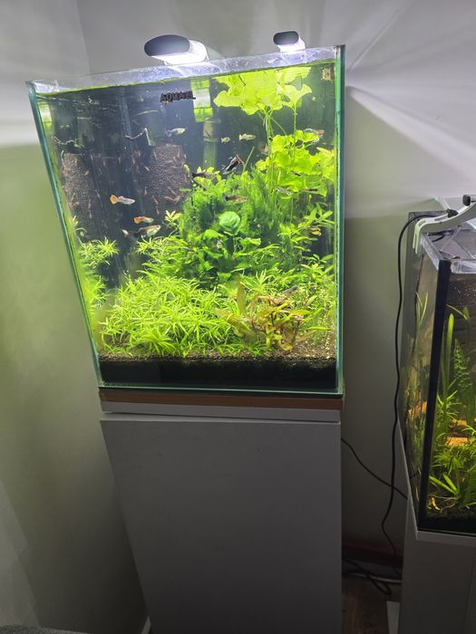 Sprzedam 2 akwaria od sztuki