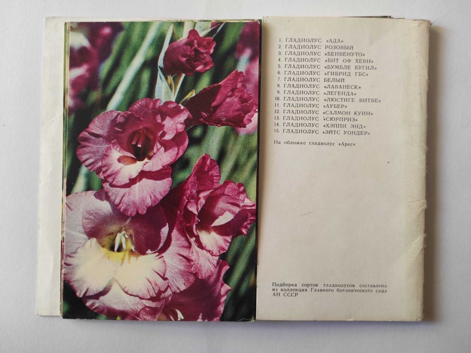 Набор Открыток "Гладиолусы" Комплект 15 шт. Москва 1972 год