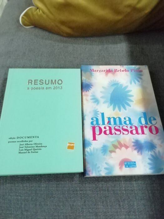 Vários livros, temas diversos
