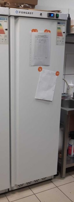 Szafa chłodnicza lakierowana 360l FORGAST Gastronomiczna