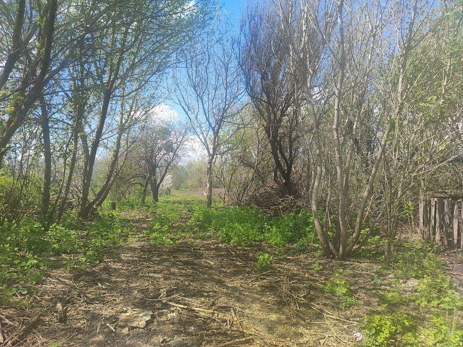 Хата Дача с.Потік Мироновский р-н Київська обл