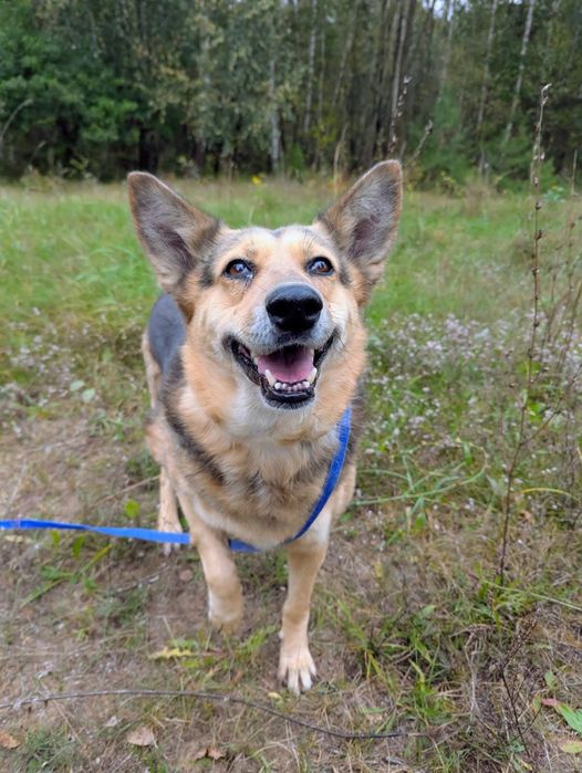 Najwspanialsza Bletka szuka domu