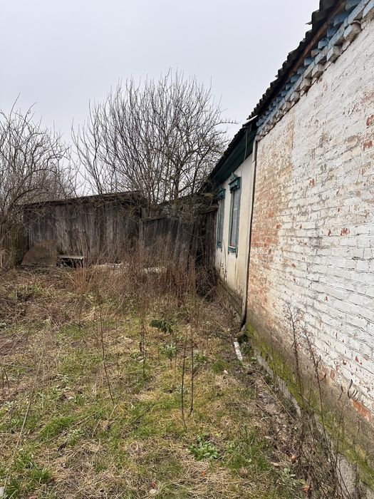 Продаж будинку з ділянкою 25 соток  с. Небелиця, Київська область