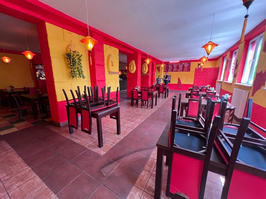 Sala 2x 225m2 lub 100m2/Lokal użytkowy/Sklep Leśna 4