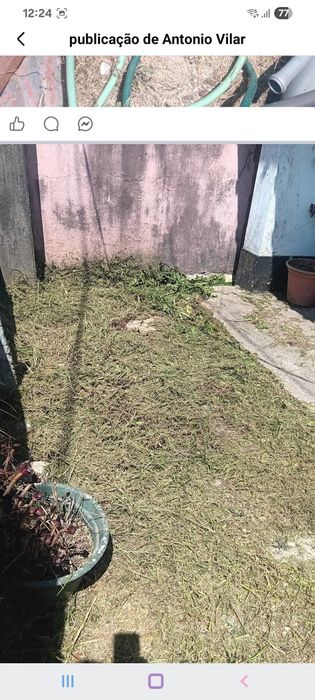 Serviços de jardinagem