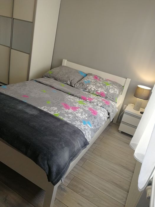 Pokoje i apartamenty do wynajęcia w sezonie letnim
