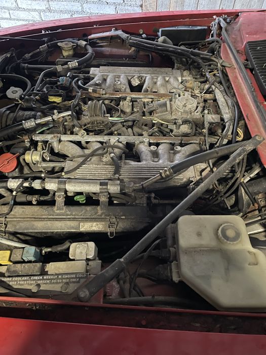 Jaguar XJS Collection Rouge