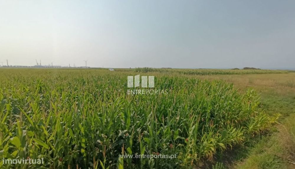 Venda de terreno agrícola com 7890m², Areosa, Viana do Castelo