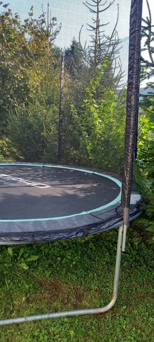 Trampolina Zippo Fitness