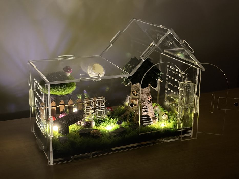 Terrarium dla skakuna pająka