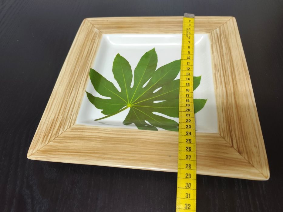 Prato decorativo - Raul da Bernarda (Cerâmica Portuguesa)