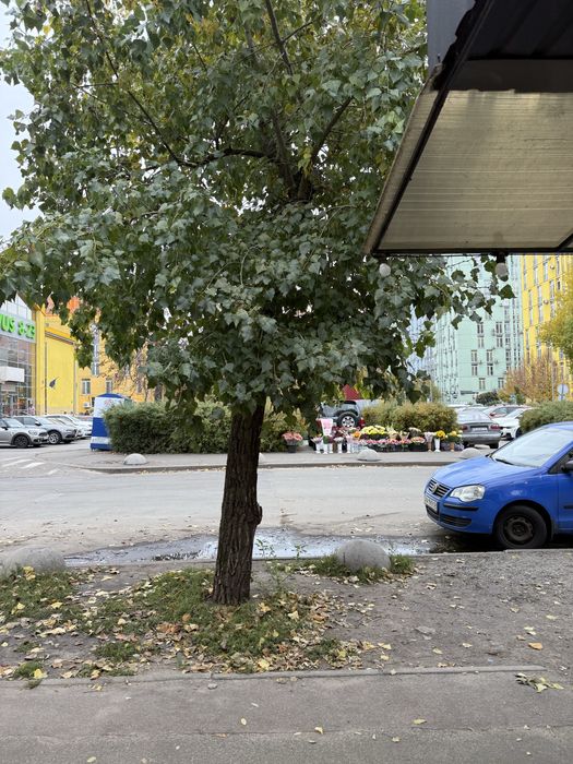 Продаю   готовый бизнес шаурмы