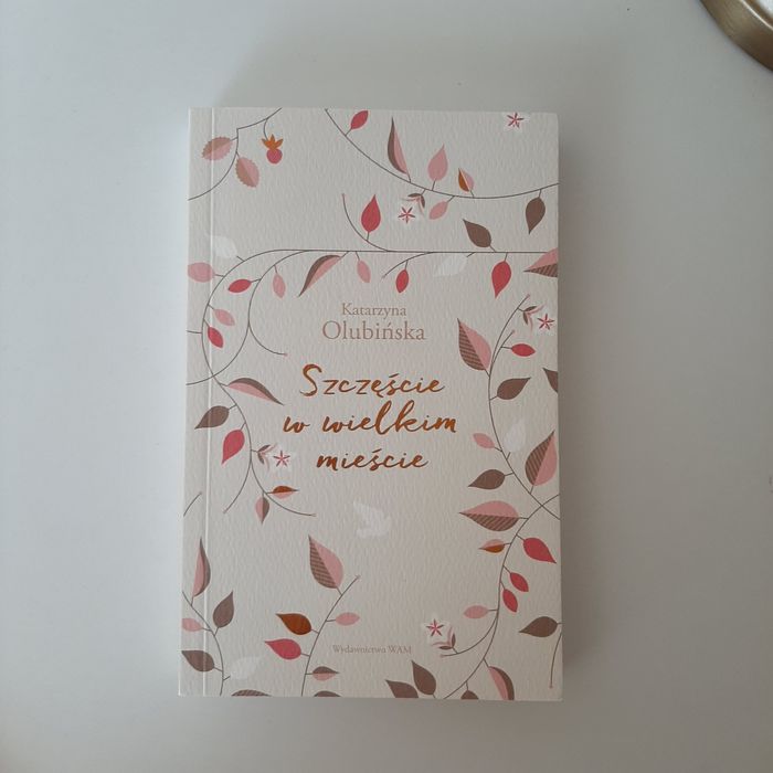 Szczęście w wielkim miescie Katarzyna Olubińska