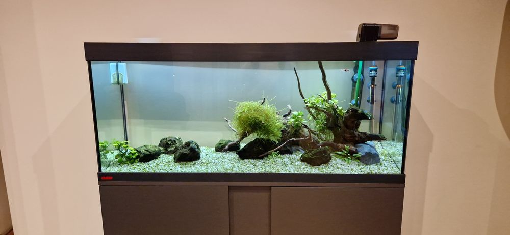 Aquário plantado 240L EHEIM água quente com todos os acessórios