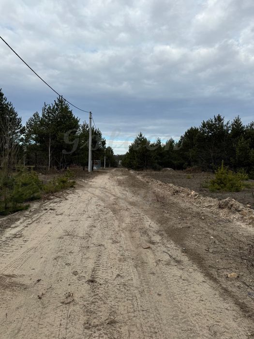 Продам земельну ділянку 50 сотих, серед СОСЕН,ЛІС,ОЗЕРО, 20кмКиїв