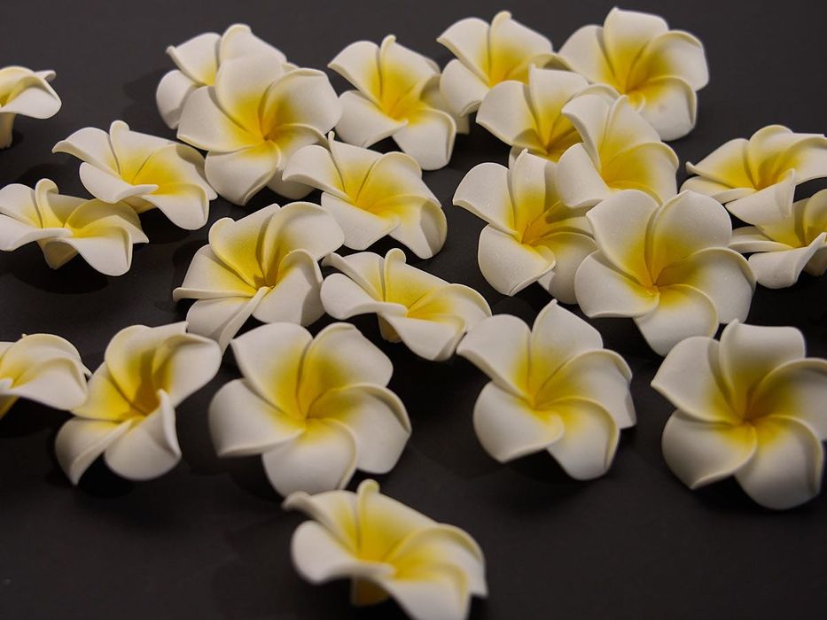 Flores Pluméria (Frangipani) em espuma para decoração
