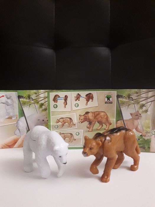 Кіндер натунс, нові