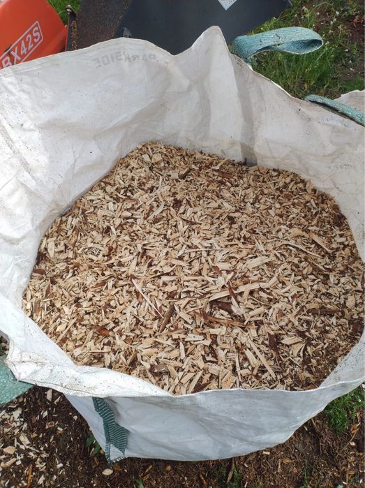 Zrębka/ trocina świerkowa