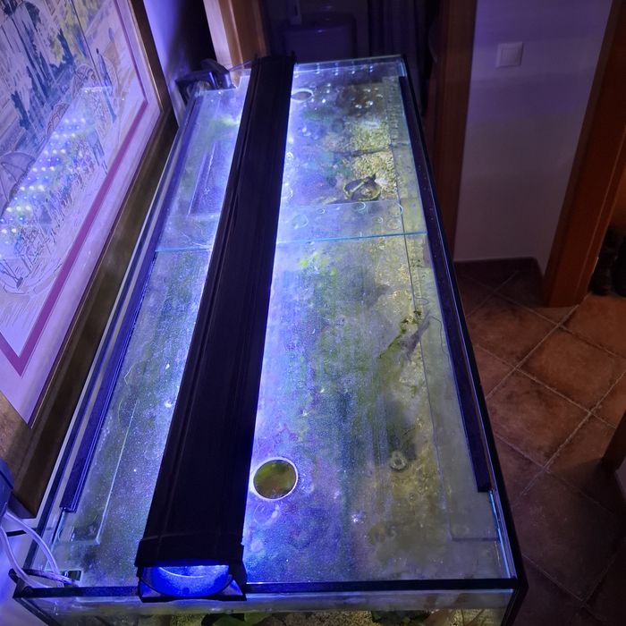 (VALOR FiXO) Aquario de 300 Lts, móvel, e luminaria de led incluído.