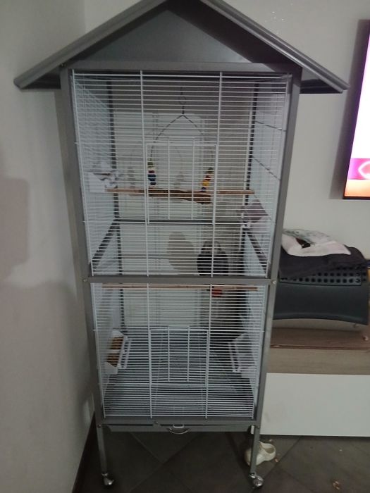 Vendo gaiola ...